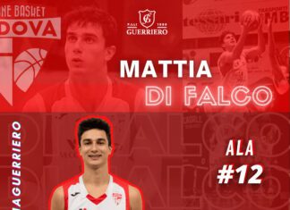 SERIE B: Guerriero UBP – Altra conferma: il capitano in pectore Mattia “Ciccio” Di Falco.