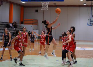 A2 F: Alpo 99 e NP Treviso vincono contro le due Bolzano. Sconfitte As Vicenza e Ponzano.