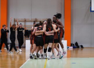 A2 Play Off: Dopo Alpo (che inrocia Roseto) anche NP Treviso è in semifinale, battuta 2-0 Mantova… ora Derthona!