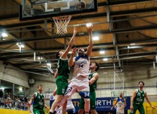 Serie C: PlayBasket Carrè prosegue la sua marcia in vetta da sola. Salzano aggancia Roncaglia.