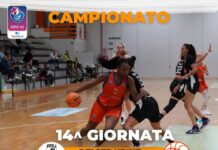 A2 F: Rhodigium e NPT (sul parquet della capolista Udine) in campo sabato sera. Vicenza ad Umbertide.